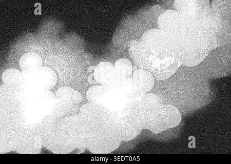 Black and white halftone texture with dotted grain, soft abstract bokeh shapes, and high contrast detail for graphic backgrounds and design overlays. Stock Vector