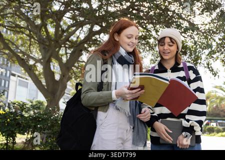 Female students standing under large tree on campus walkway, studying open notebook and gray binder. Teamwork, learning, friendship, conversation, outdoor, canopy, path Stock Photo