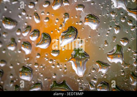 Drops of water can be seen on a window pane. The background shows blurred colors of yellow daffodils (Narcissus). Stock Photo