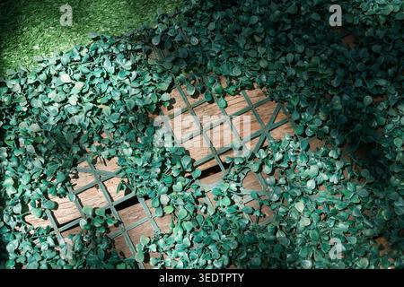 Artificial green ivy leaf foliage covering brick wall on plastic lattice grid provides peaceful calming outdoor decoration and pleasant natural textur Stock Photo