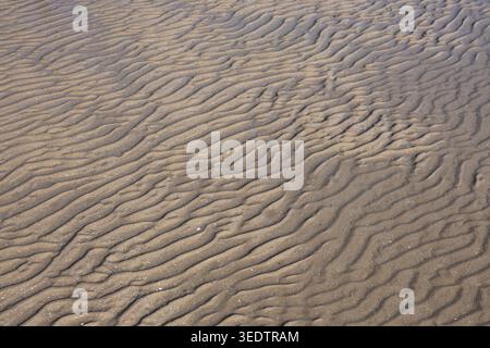 Peaceful sand ripple texture pattern on beautiful calm beach shore showing natural wave line design across empty brown background surface bringing tra Stock Photo