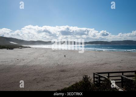 A lone distant figure walks along a vast and windswept sandy beach in southern Western Australia, with dramatic clouds overhead, coastal dunes. Stock Photo