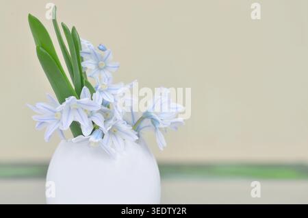Cute, blue flowers and green leaves in a vase, blurred, yellow and green background and empty space to fill with content. Stock Photo