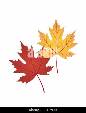 Colorful autumn maple leaves in red and yellow tones with detailed veins, isolated on white background, seasonal nature art Stock Vector