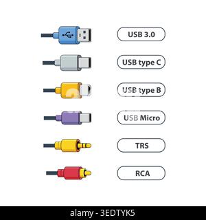 Illustrated set of common cable connectors including USB types and audio plugs, clearly labeled for easy identification and tech education. Stock Vector
