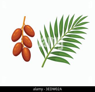 Illustration of ripe date fruits with a green palm leaf, symbolizing natural sweetness, tropical plants, and healthy organic food. Stock Vector