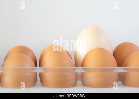 Fresh brown and white eggs arranged in a clear plastic tray inside a refrigerator. Stock Photo