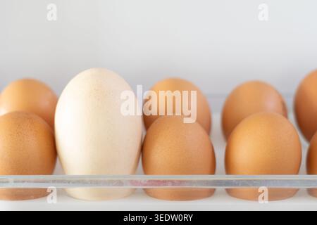 Fresh brown and white eggs arranged in a clear plastic tray inside a refrigerator. Stock Photo