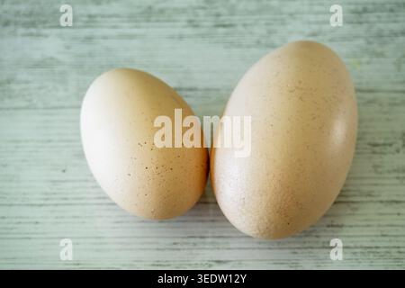 Two fresh light brown eggs on a light wooden surface. Stock Photo