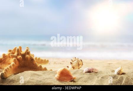 Starfish and seashells resting on sandy beach with ocean waves and bright sunlight, creating a peaceful tropical summer scene. Stock Photo