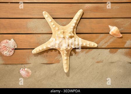 Top view of a starfish with seashells on sand and wooden planks, creating a warm tropical beach composition with natural textures. Stock Photo