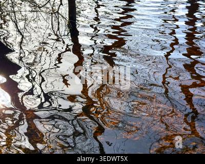 Patterns and shapes rendered in the waters of a sunlit lake Stock Photo