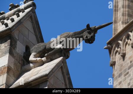 Gargoyle statue extending from a wall in Barcelona. Water spouts to divert rainwater away from a building's masonry walls to prevent erosion Stock Photo