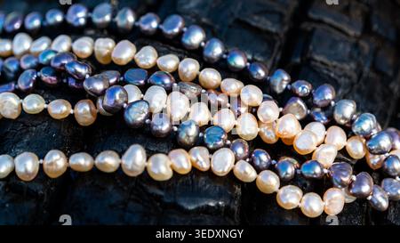 Freshwater pearl necklaces on dark textured wood background, luxury jewelry close up Stock Photo