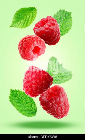 Fresh raspberries and leaves falling on light green background Stock Photo