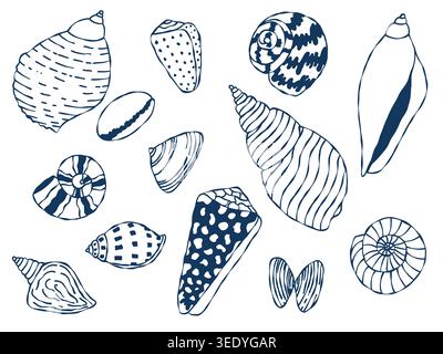 Whimsical Mediterranean Seashell Vector Set in Hand Drawn Style, Nautical Ocean Elements, Marine Illustration Stock Vector