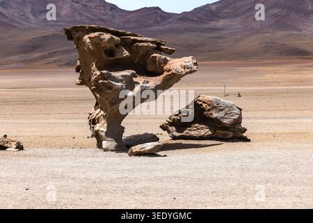 Arbol de Piedra, a wind-eroded stone tree rock formation on remote desert plain, Siloli Desert, Bolivian Altiplano, Bolivia Stock Photo