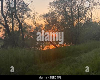 Glowing sun reflecting on lake water, casting warm golden and orange light behind dark tree silhouettes and illuminating natural green grasses on a tr Stock Photo