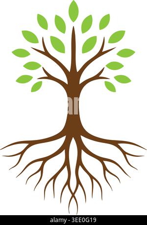 Simple illustration of a tree with a brown trunk exposed branching roots and fresh green leaves. Stock Vector