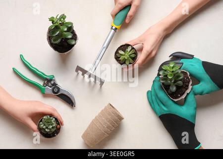 Female hand with plants and gardening tools on white background. Top view Stock Photo