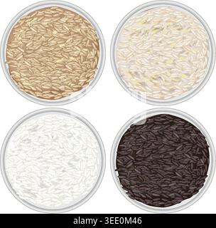 Flat vector illustration of brown, white, black, and wild rice in bowls, top-down view. Stock Vector