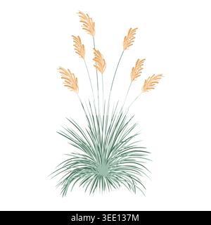 Pasture grass, miscanthus, orchid leaves, isolated vector drawing illustration. Stock Vector