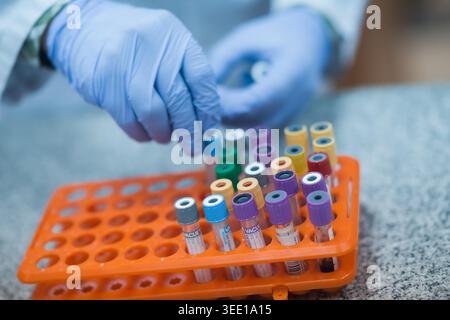 Young medical technicians and doctors working together in a clinical laboratory, handling blood test vials and samples with gloved hands for diagnostic analysis and routine pathology processing. Stock Photo