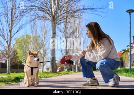 Mature woman crouching on a path, teaching her shiba inu dog obedience commands outdoors in a sunny park Stock Photo