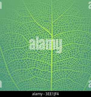 Leaf vein texture abstract background with close up plant leaf cells ornament texture pattern. Stock Vector