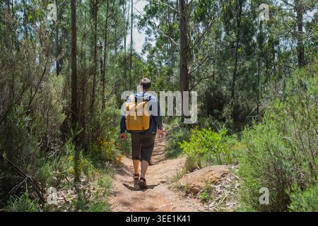 Rear view of a man with yellow backpack walking along a narrow dirt path through a lush green forest Stock Photo