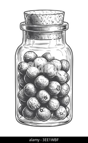 A classic engraving style vector illustration featuring a corked glass jar filled with whole allspice or juniper berries. An excellent asset for natur Stock Vector
