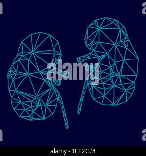 Kidney low poly triangulation triangulated polygonal electric cyan blue vibrant aqua neon color vector illustration image outline contour line style Stock Vector
