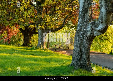 Spring morning at Alexandra Park in Bath, Somerset. Stock Photo