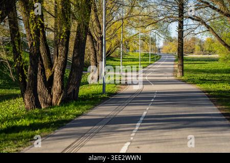 Winding asphalt bicycle path and pedestrian walkway through a lush green park with tall trees, representing urban recreation infrastructure and sustai Stock Photo