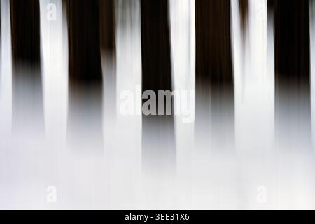 Abstract photograph of a snow-covered pine forest created using intentional vertical camera movement during a long exposure, Utah Stock Photo
