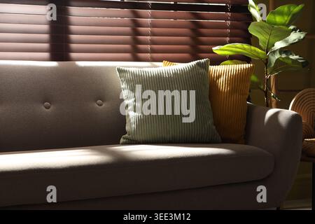 Colorful pillows on soft sofa near houseplant indoors Stock Photo