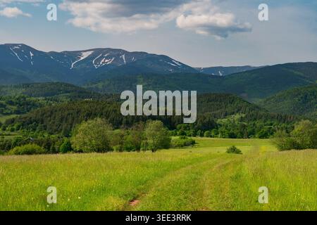View of lush green meadows and dense forests leading to the snow-capped peaks of the Low Tatras mountains under a cloudy sky in Horna Lehota, Banskoby Stock Photo