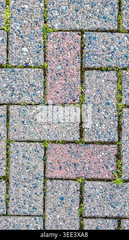 Overhead shot of red and gray concrete paving stones with moss interspersed. Soft, natural light highlights textures. Ideal for backgrounds conveying Stock Photo