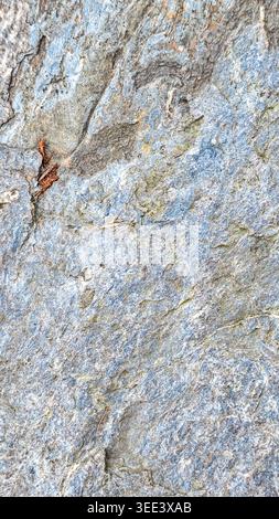 Detailed texture, showing mineral deposits. Colors include gray, blue, neutral tones. Natural lighting creates subtle highlights and shadows. Backgrou Stock Photo
