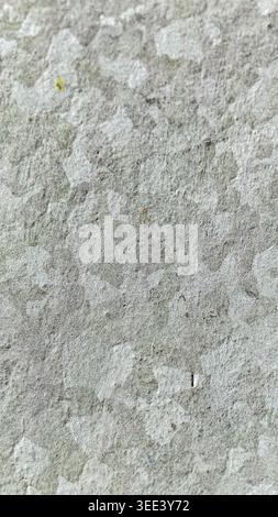 High-angle, full frame studio shot showcases textured gray wall. Grainy surface with muted, neutral colors. Ideal for backgrounds, mockups or textures Stock Photo