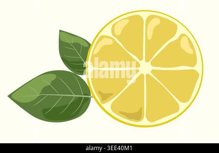 Minimalist Lemon Set Vector Top View of Fresh Yellow Citrus Fruit Slice with Green Leaves for Food Branding Organic Cosmetics and Summer Design Stock Vector