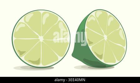 Minimalist Lime Set Vector Top View of Fresh Green Citrus Fruit Circle and Half Slice for Cocktail Branding Organic Cosmetics and Summer Design Asset Stock Vector
