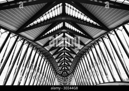 Lyon, France - March 19, 2026: Black and white abstract ceiling architecture of Lyon-Saint Exupery TGV station designed by Santiago Calatrava Stock Photo
