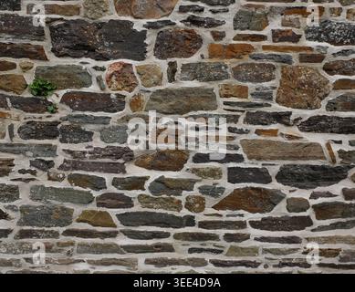 Background of an old traditional stone wall with mortar and moss details, Normandy, France. Stock Photo