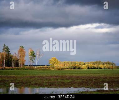 Early autumn field under dark storm clouds in Latvia Stock Photo