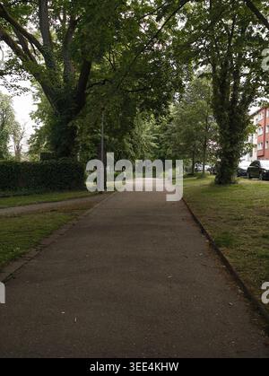 Tree Lined Park Path Under Canopy, Overcast Morning Light Casting Soft Shadows On Asphalt Walkway, Trimmed Grass Edges, Distant Red Brick Residential Stock Photo