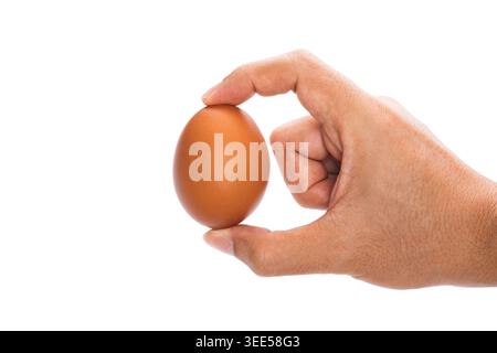 a man's hand hold and show brown chicken egg with two fingers isolated in white background with clipping path Stock Photo