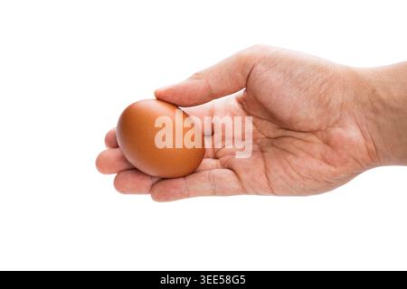 a man's hand hold and show brown chicken egg with two fingers isolated in white background with clipping path Stock Photo