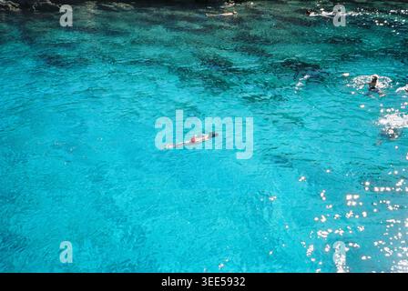 High-angle view of people swimming and snorkeling in crystal clear turquoise sea water on a sunny summer day Stock Photo