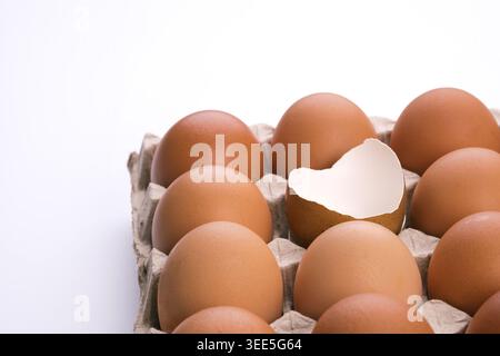 an opened empty cracked egg surround with full raw eggs in a tray on white background. Stock Photo
